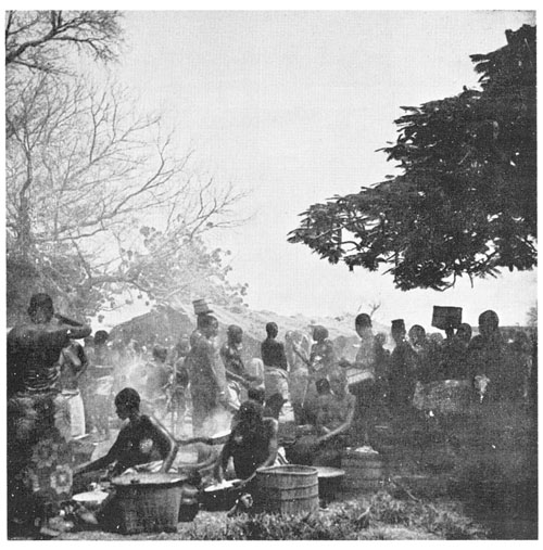 A M ARKET Women cooking food for sale The Social Organisation of the LoWiili - photo 2