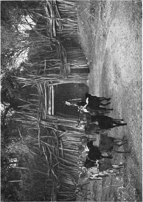 Gateway of a Sonjo village The Sonjo of Tanganyika AN ANTHROPOLOGICAL STUDY OF - photo 3