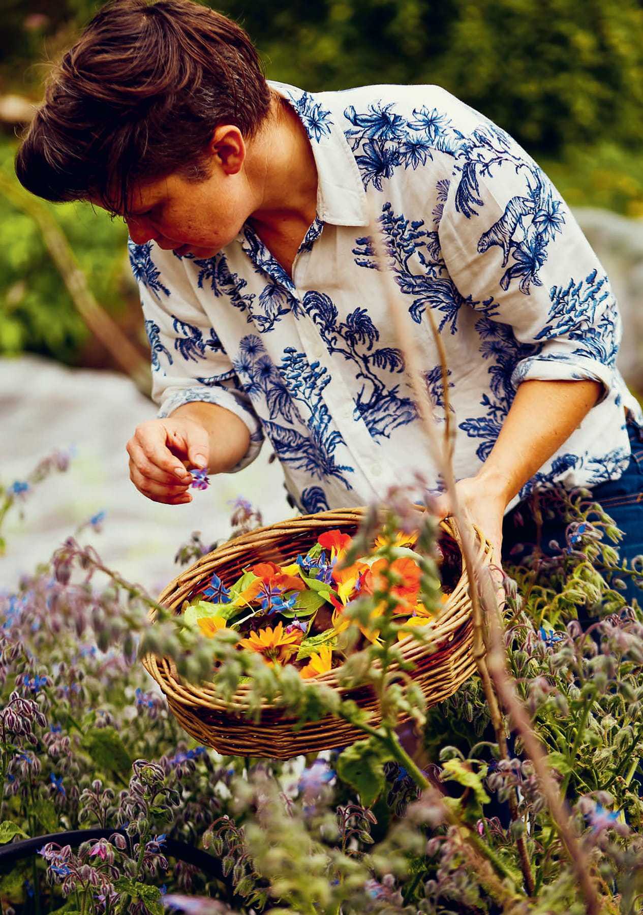 Slowness Growing from scratch picking and processing edible flowers for - photo 5