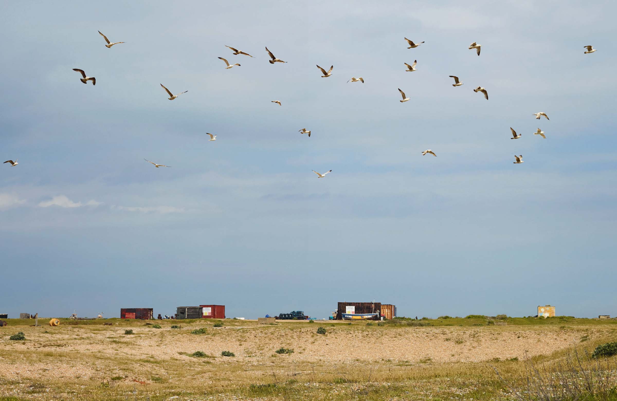 The headland of Dungeness has a unique character all of its own with its - photo 2