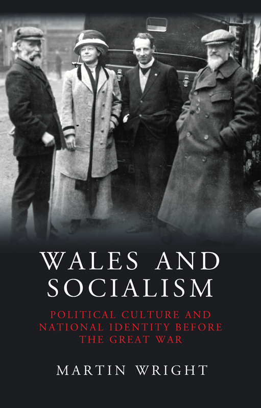 STUDIES IN WELSH HISTORY Editors RALPH A GRIFFITHS CHRIS WILLIAMS ERYN M - photo 1