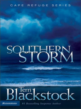 Terri Blackstock - Southern storm