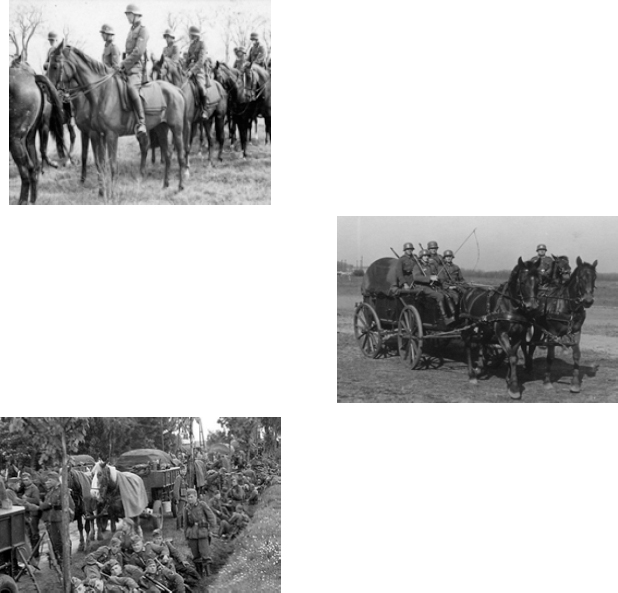The greatest use of horses in ANY military conflict in history was by the - photo 3