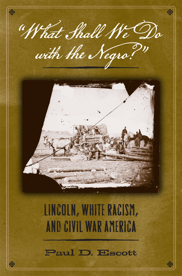 WHAT SHALL WE DO WITH THE NEGRO Lincoln White Racism and Civil War - photo 1