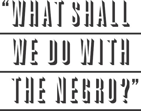 Lincoln White Racism and Civil War America PAUL D ESCOTT UNIVESITY OF - photo 2