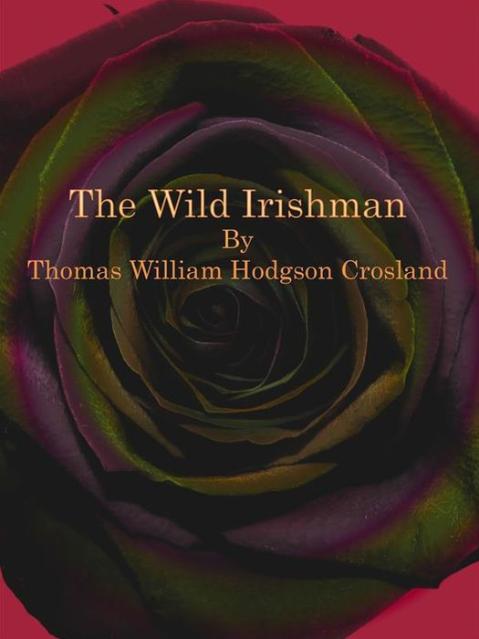 THE WILD IRISHMAN THE WILD IRISHMAN BY T W H CROSLAND Author of The - photo 1