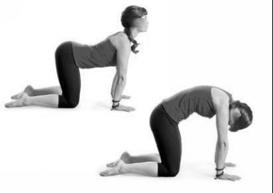 Neck and Torso Flexibility For the upper body alone you have to stretch - photo 1