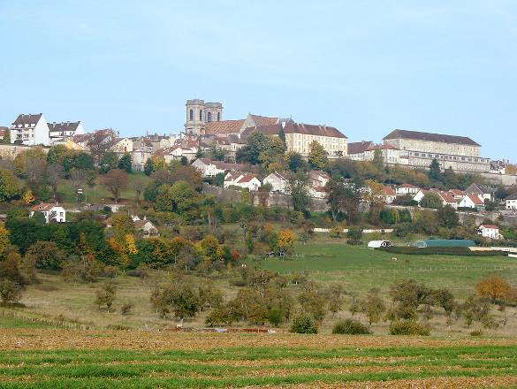 Langres Champagne in the region of Grand Est France Denis Diderots - photo 16