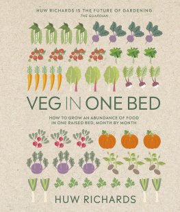 Huw Richards - Veg in One Bed New Edition: How to Grow an Abundance of Food in One Raised Bed, Month by Month