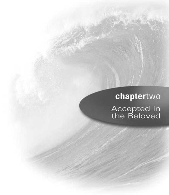 Accepted in the Beloved We didnt get in right-standing with God by being good - photo 5