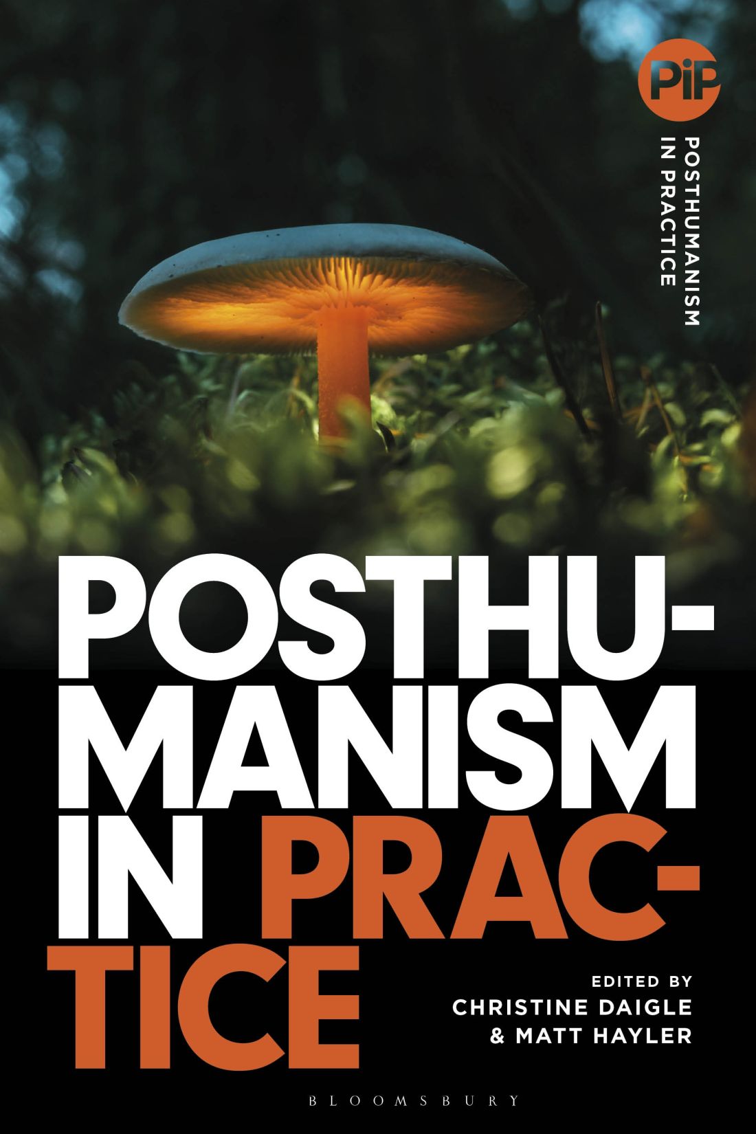 Posthumanism in Practice Posthumanism in Practice Series editors Matt Hayler - photo 1