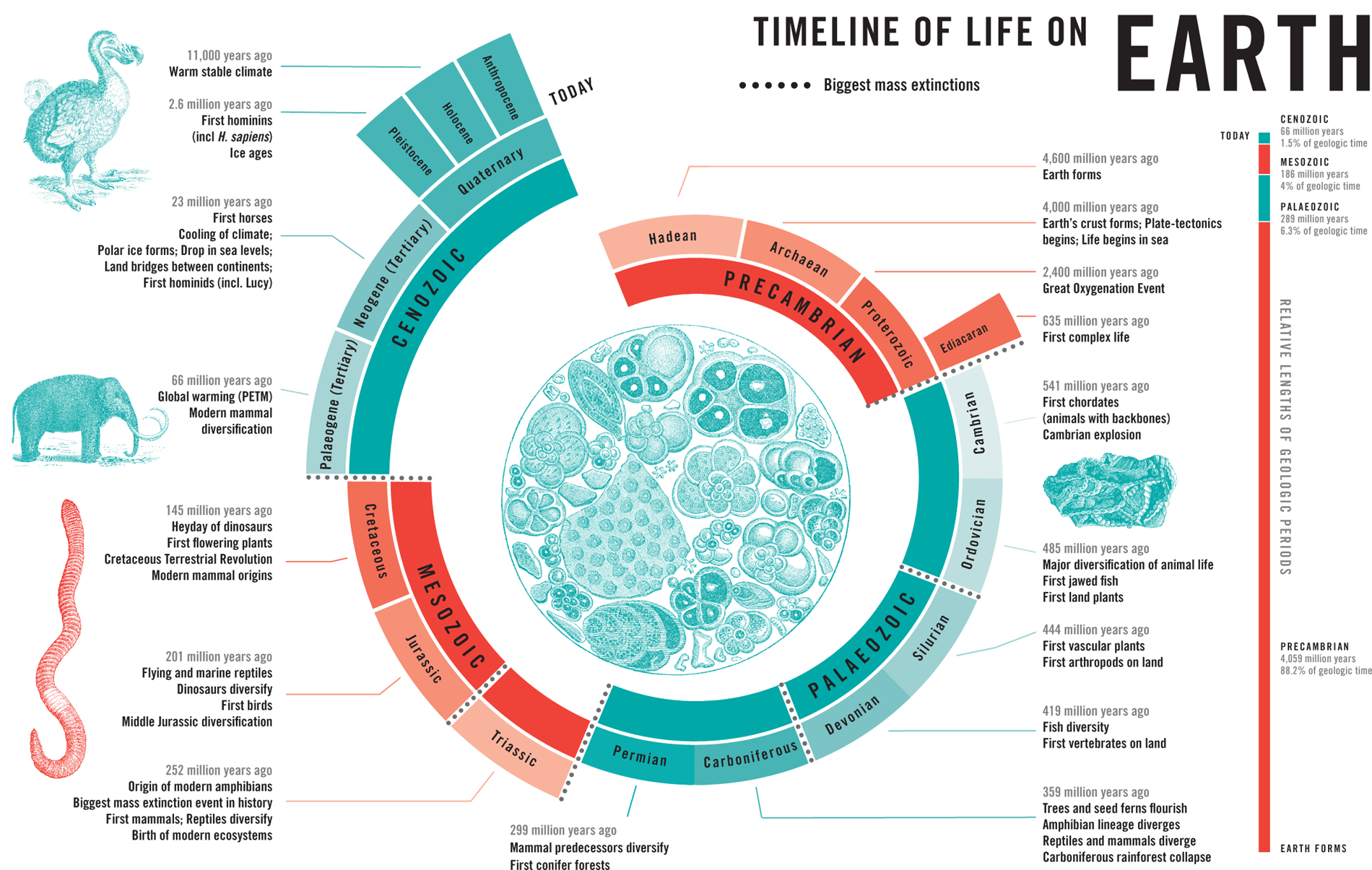 INTRODUCTION DEEP TIME Our planets lifespan is measured on a timescale too - photo 4