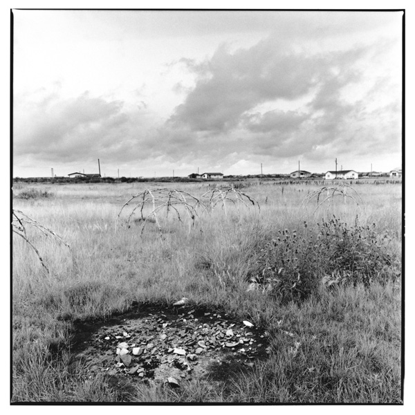 LEVERN ALBERTA 1993 BUD UTINOWATUM BROWNVALE ALBERTA 1991 ARTHUR CROW - photo 30