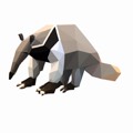 ANTEATERS Anteaters are amazing animals that have evolved a wide range of - photo 10