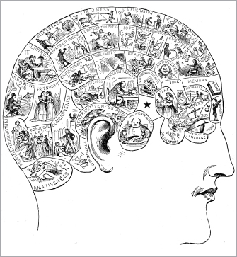 NEUROSCIENCE THE BASICS The brain is made up of lots of cells called neurons - photo 2