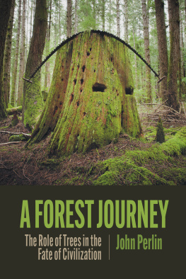 John Perlin A Forest Journey: The Role of Trees in the Fate of Civilization