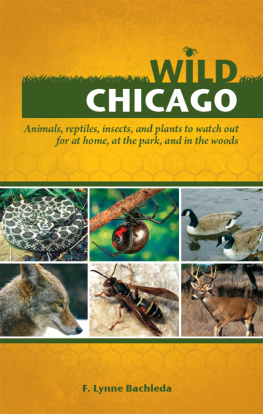 F. Lynne Bachleda - Wild Chicago: Animals, Reptiles, Insects, and Plants to Watch Out for at Home, at the Park, and in the Woods