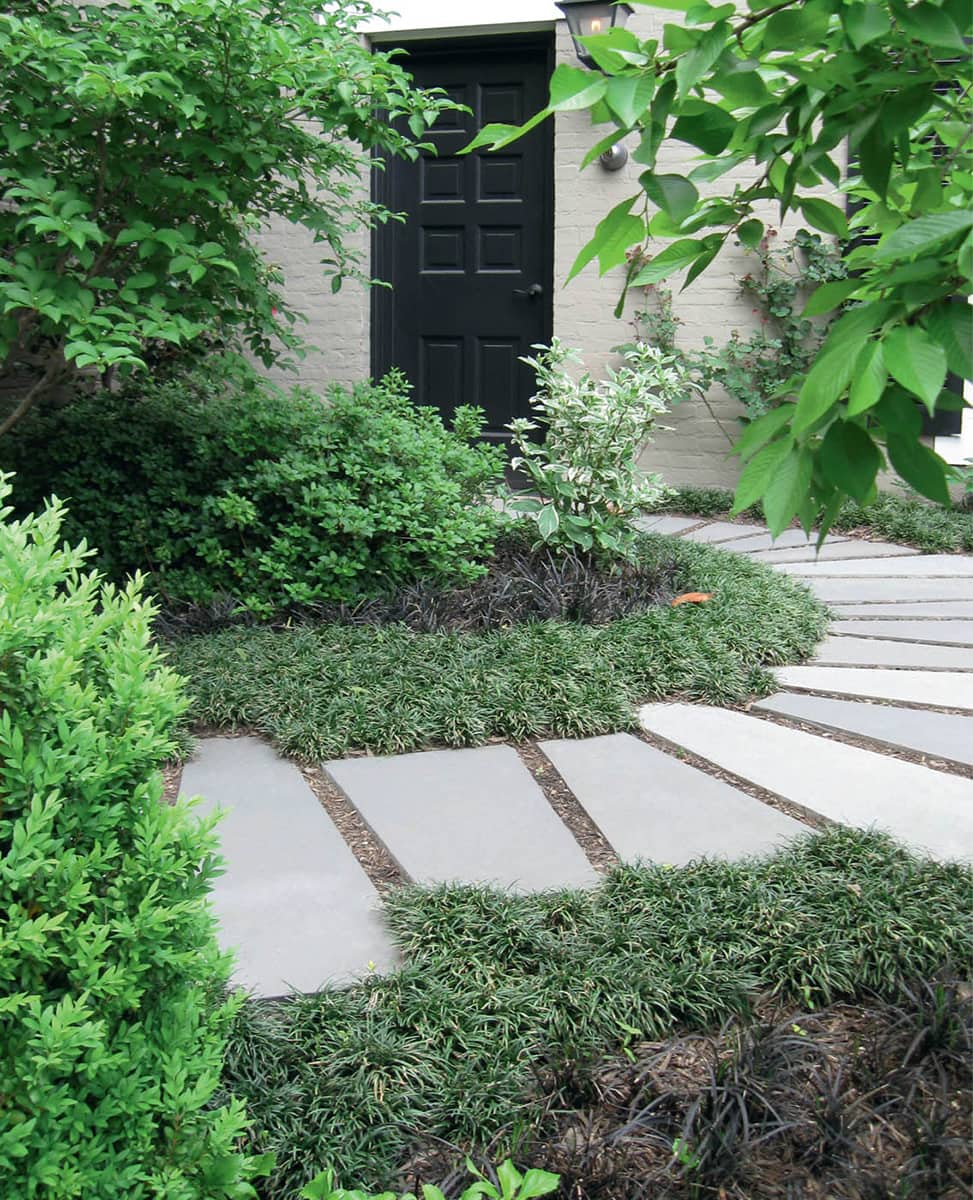 The small entrance path to a home is framed by dwarf mondo grass and black - photo 6