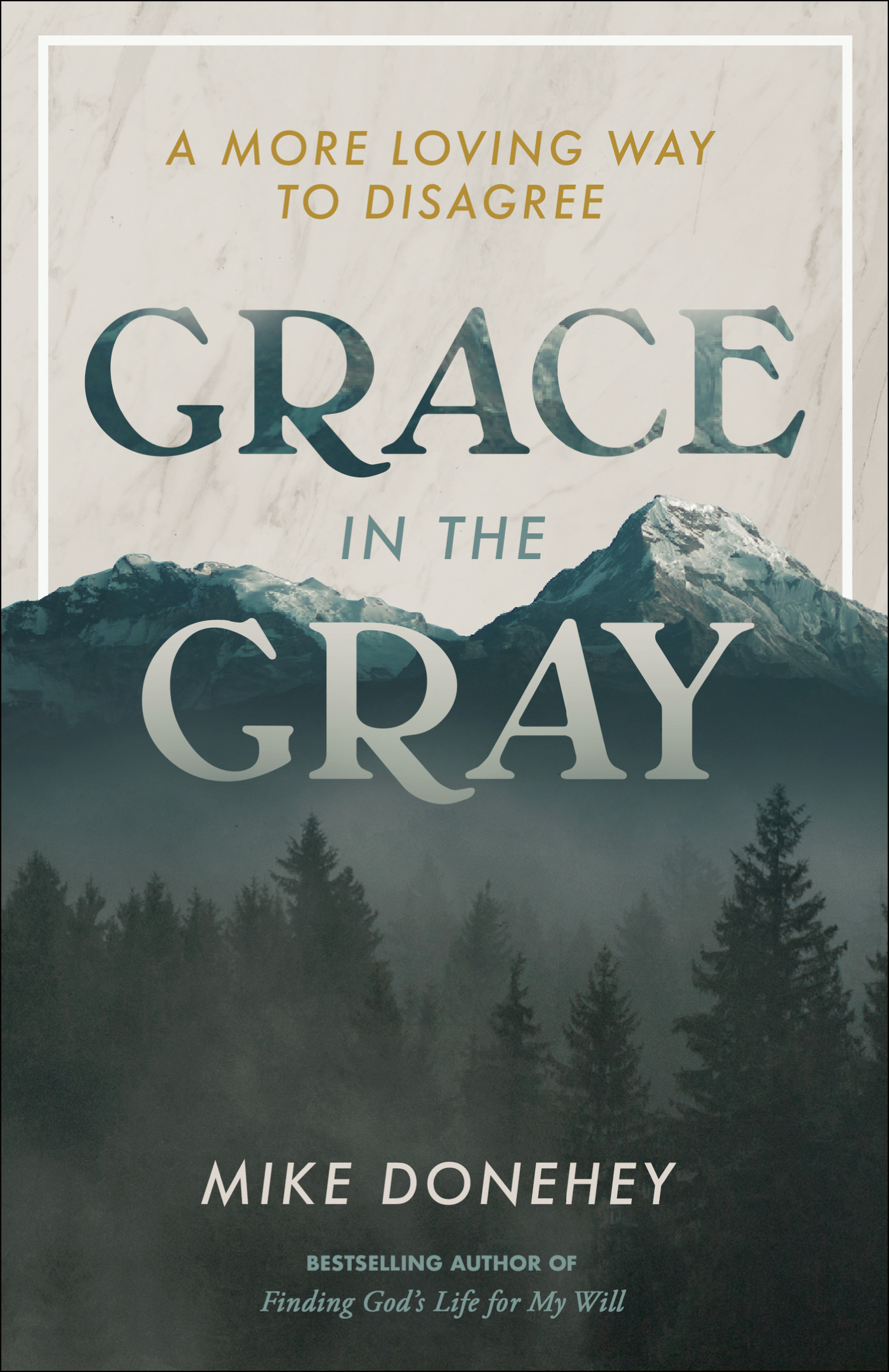 Praise for GRACE IN THE GRAY Because grace is beautiful I think God designed - photo 1