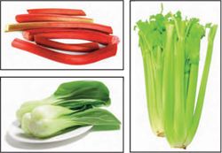 Celery Bok Choy Rhubarb and many more look just like bones These foods - photo 11