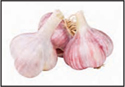 A working companion Garlic also helps eliminate waste materials and dangerous - photo 18