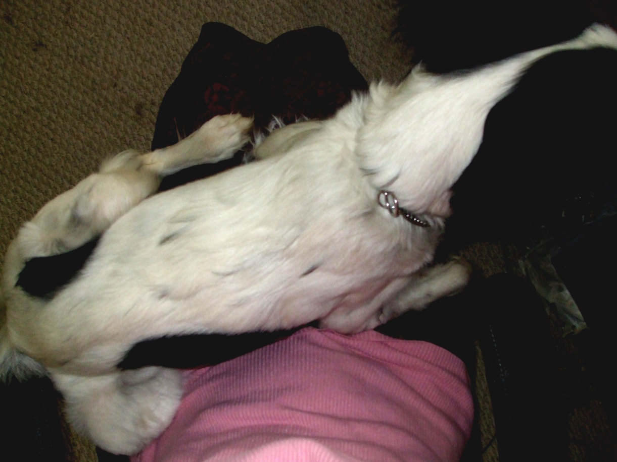 I like to sit on my moms lap I dont like when my mom goes away - photo 5