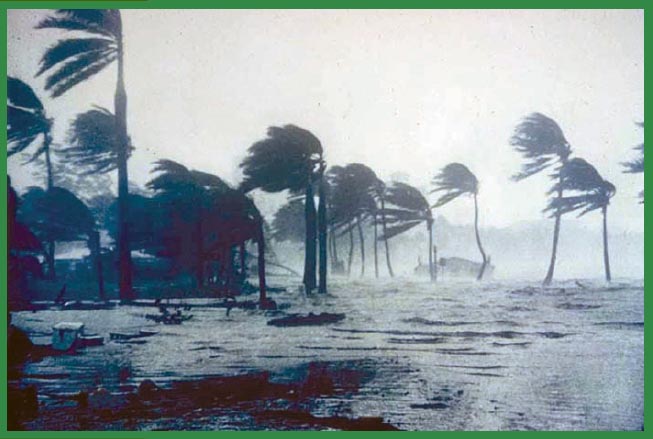 Hurricane Andrew packed winds between 145 and 175 miles per hour With no other - photo 5