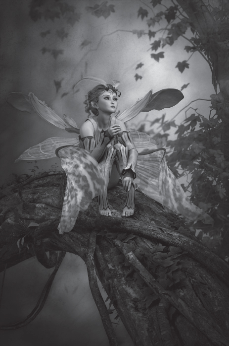 An artists rendition of how we typically imagine fairies to look - photo 6