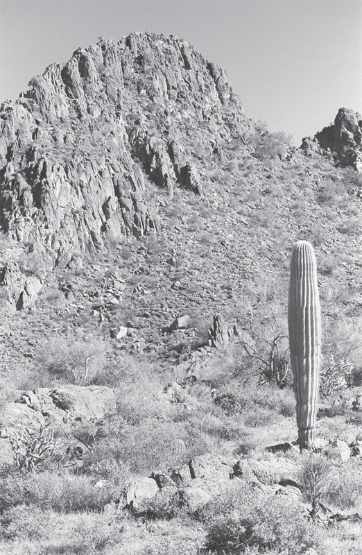 Hiking Arizonas Geology - image 3