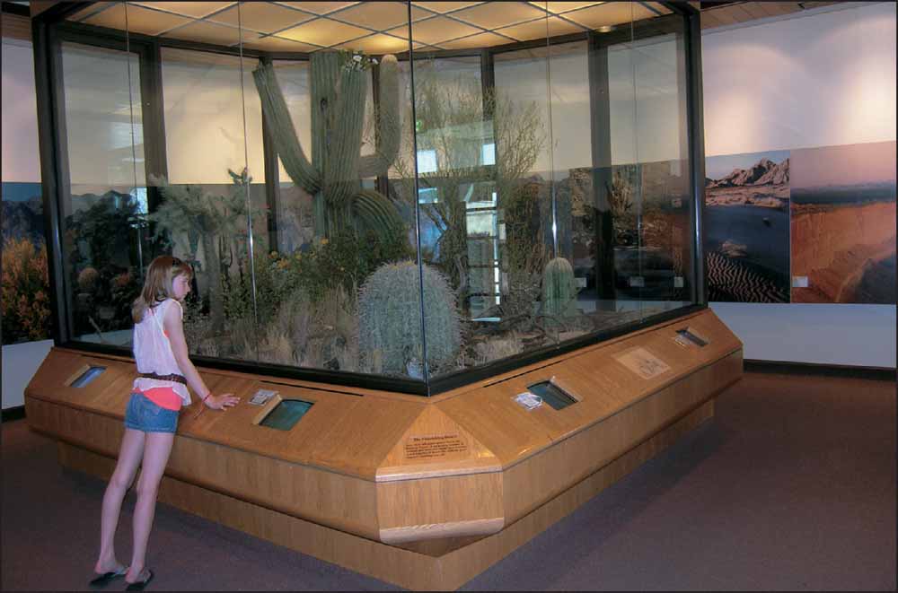 Saguaro National Park has two visitor centers Both are open every day all - photo 9