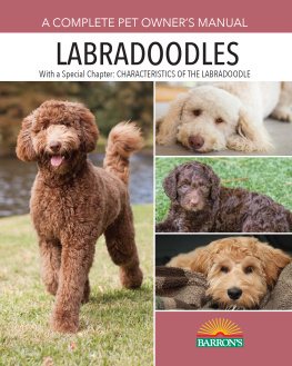 Joan Hustace Walker - Labradoodles