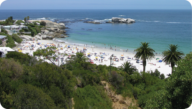 Cape Town South Africa is an example of an area with a warm maritime climate - photo 4