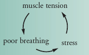 When muscles become tense and imbalanced your bodys natural correct alignment - photo 1