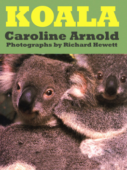 Caroline Arnold - Koala