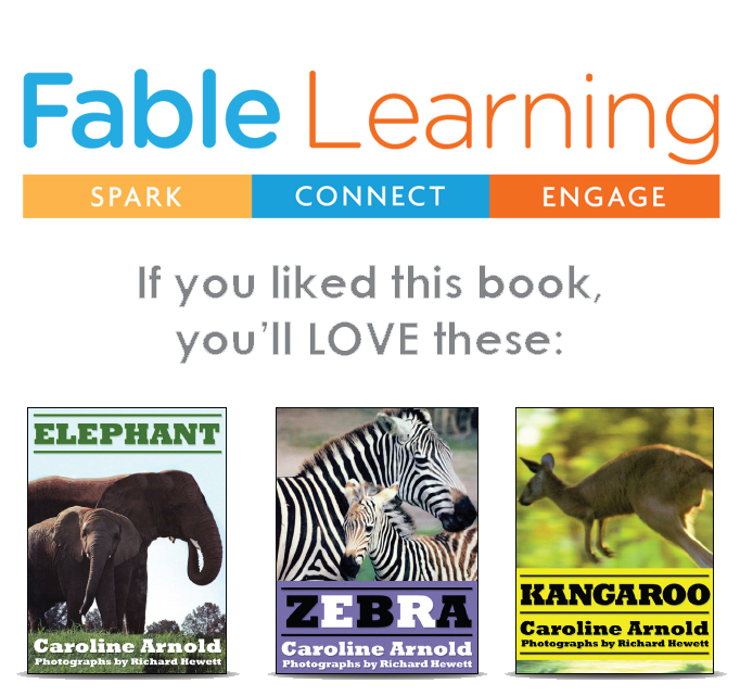 Visit FableLearningcom For more great books After a day of resting a bat - photo 4