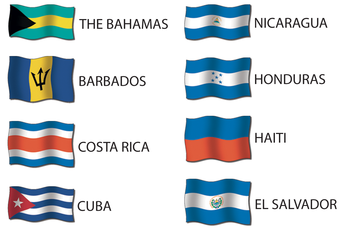 The colours on flags are often shown as stripes Many of these flags have blue - photo 11