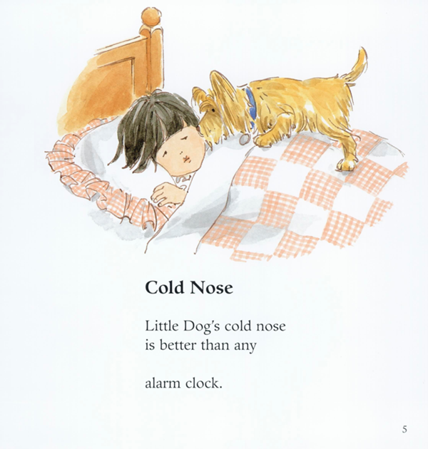 Cold Nose Little Dogs cold nose is better than any alarm clock - photo 2