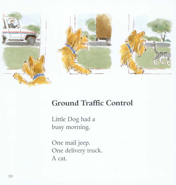 Ground Traffic Control Little Dog had a busy morning One mail jeep One - photo 8