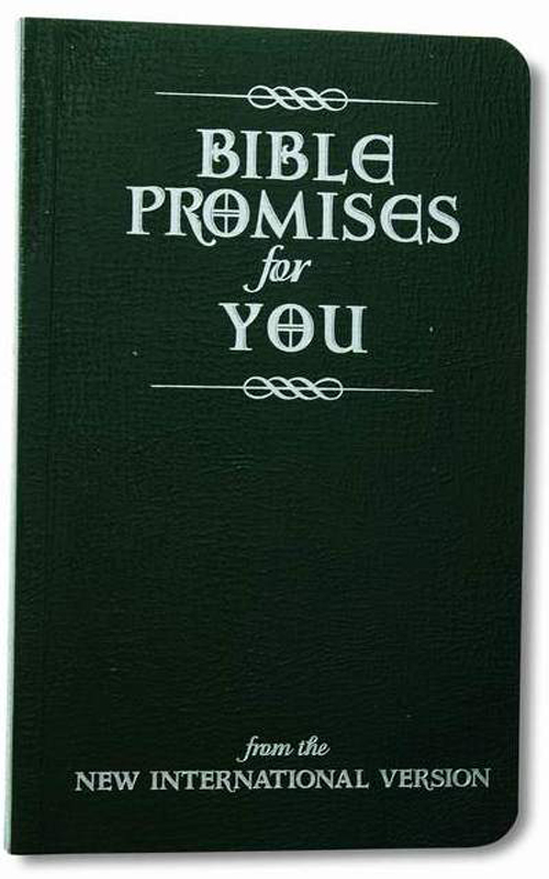 Bible Promises for You from the New International Version Copyright 2005 by - photo 1