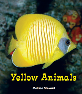 Melissa Stewart - Yellow Animals
