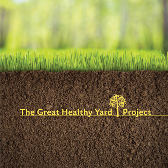 The Great Healthy Yard Project - photo 1