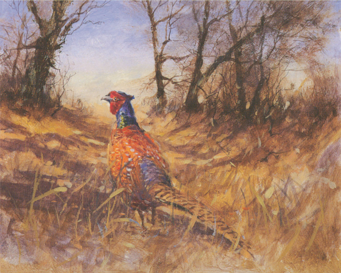 Norfolk Pheasant acrylic on primed hardboard 25 28 cm 10 12 in Alwyn - photo 4