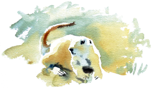 Prairie Dog Watercolour 20 x 125cm8 x 5in Seeing animals in the wild is - photo 5