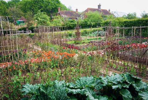 The vegetable garden at Perch Hill in spring with rhubarb in the foreground - photo 2