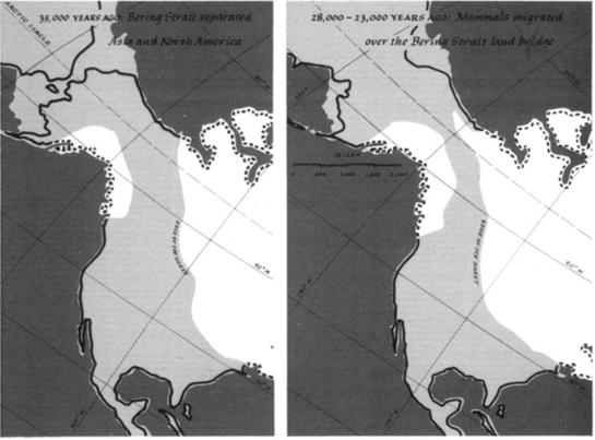 The Bering Strait Land Bridge During the Last Part of the Ice Age NOTE - photo 7