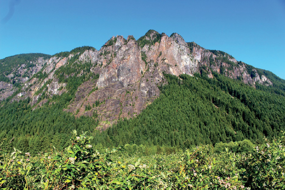 You CAN reach the top of a mountain This is beautiful Mt Si in my home of - photo 3