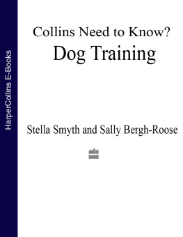 Collins - Dog Training