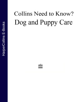 Collins - Dog And Puppy Care