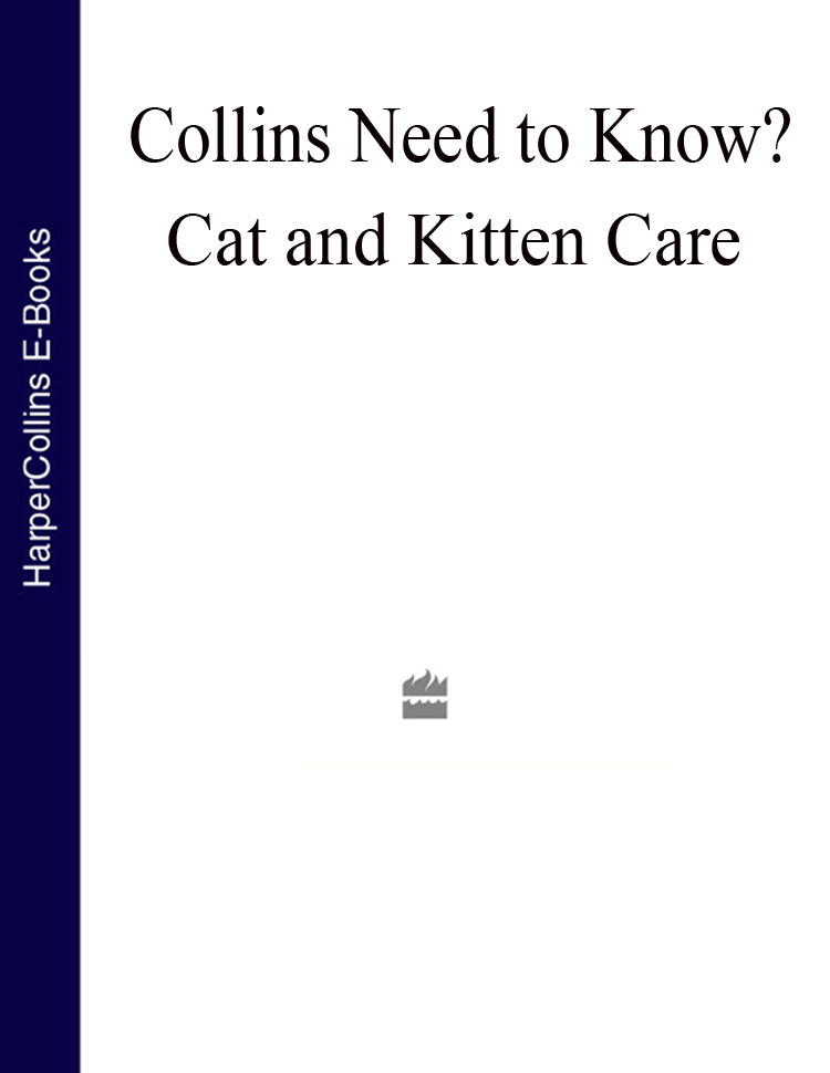 Cat and Kitten Care - image 1