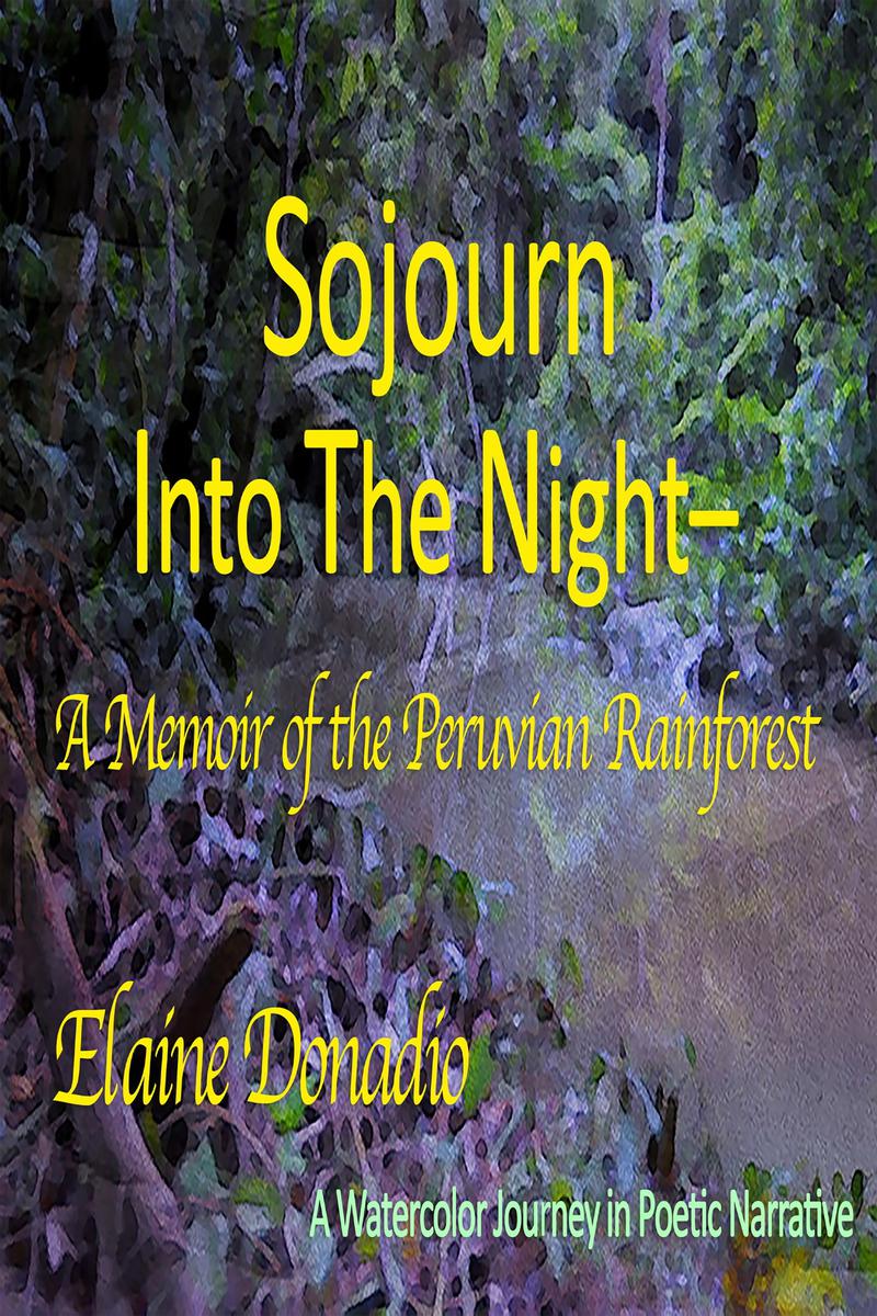 Sojourn Into the Night- A Memoir of the PeruvianRainforest Elaine Donadio - photo 1